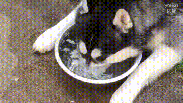 ▼歹徒太可怕了,要挖个坑躲一躲.