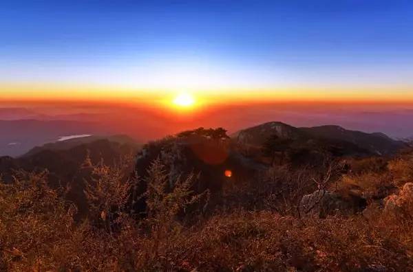 我妈让我不要嫁给河南人,原因居然是…