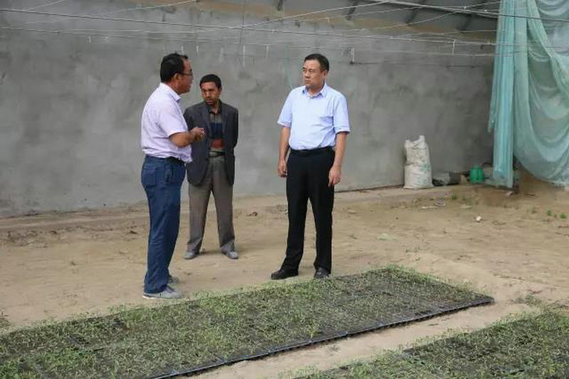 墨玉县委书记张冠军调研设施农业发展现状听民意帮民困解民忧