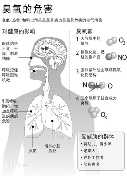 除了对人体健康的伤害,臭氧污染还会造成很多经济损失.