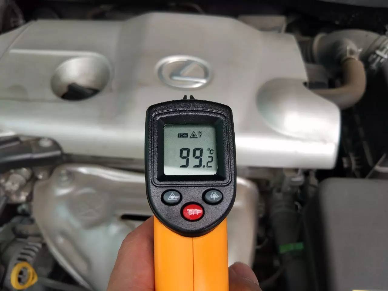 LAB食堂丨老板，再来一盘雷克萨斯培根