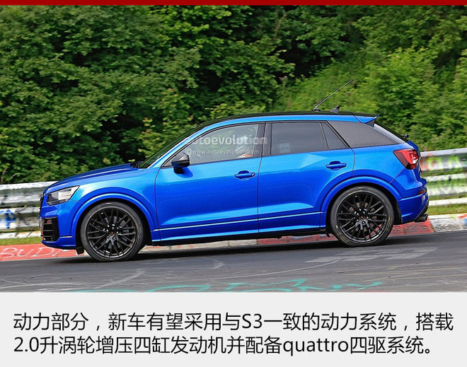 奥迪将推高性能小SUV 有望明年引入国内
