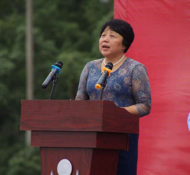 曾高喊"买房就是爱国"的54岁女厅官倒了|王爱华|合肥巢湖|爱国_新浪