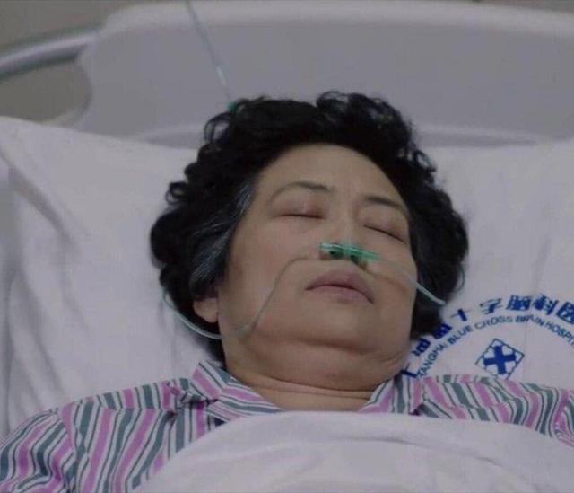 子君妈妈去世看老戏骨许娣如何把薛甄珠演活