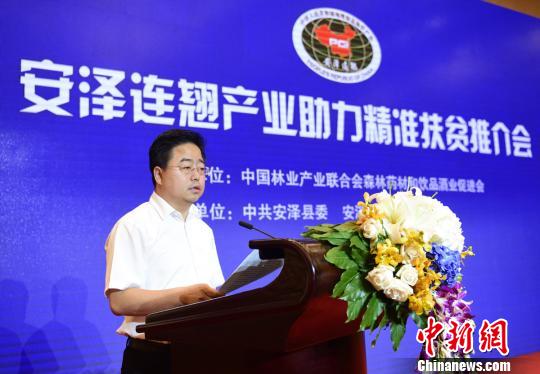 安泽县委书记李强对连翘产业助力精准扶贫进行推介.