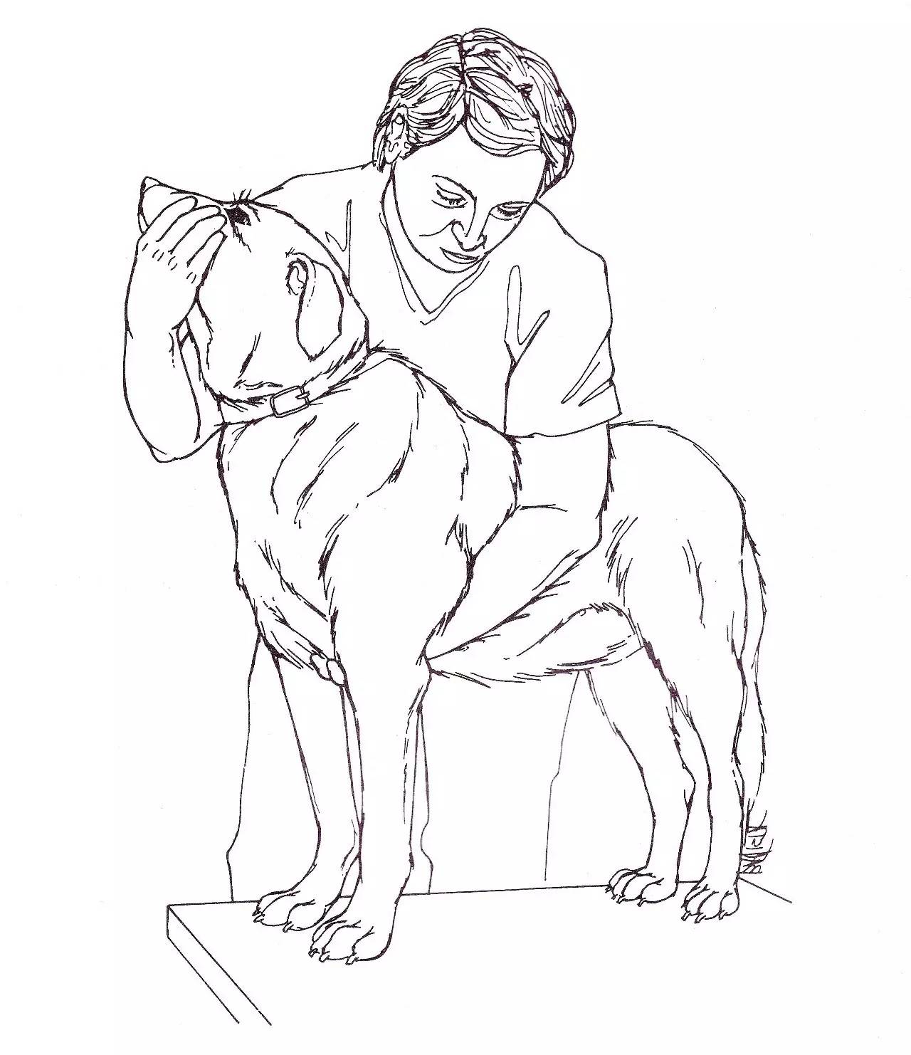 【便民】狗狗如何办免疫证明?官方流程来了(附