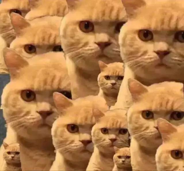 当代年轻人有一堆表情包,脸上却没有表情