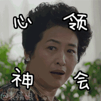 近期因电视剧《我的前半生》走红的薛甄珠表情包