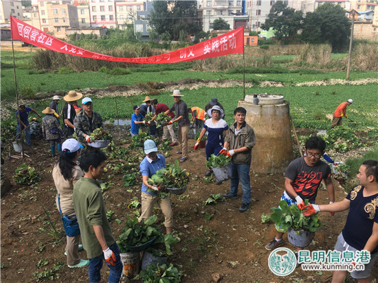 呈贡区回回营社区组织500余人清理河道 改善提升环境