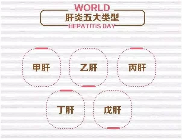 只是你不了解它|肝炎|乙肝|酒精肝_新浪新闻