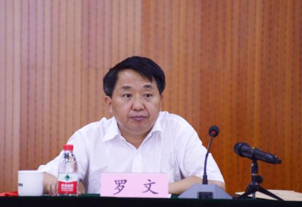 罗文任工信部副部长(图/简历)