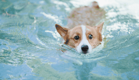 好奇| 一洗澡就想嘘嘘,想唱歌,为什么?|好奇|皮肤|水温_新浪新闻