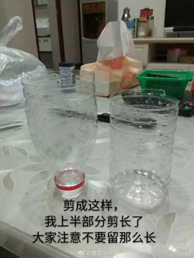 楼主tips:洗洁精和肥皂水用于溶解蟑螂腹部油脂防止爬出,白糖稍微多放