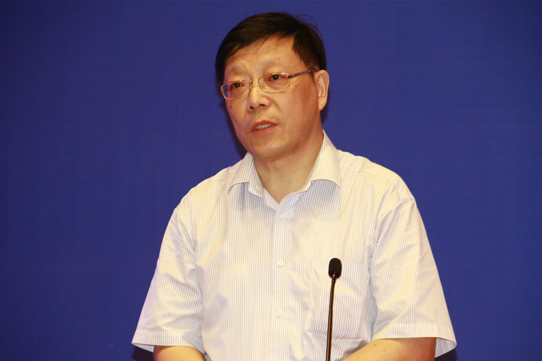 图为上海大学社会学院教授顾骏作主旨发言(本网记者 查建国/摄)图为