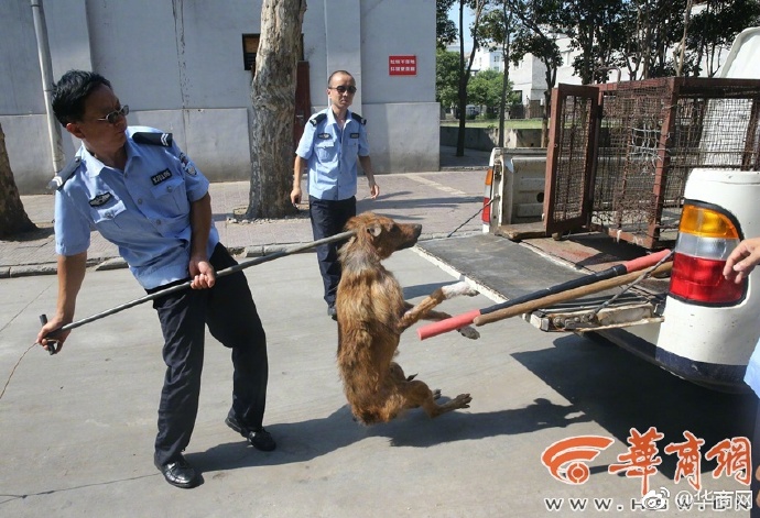 西安高温陕北暴雨这两周陕西都经历了什么