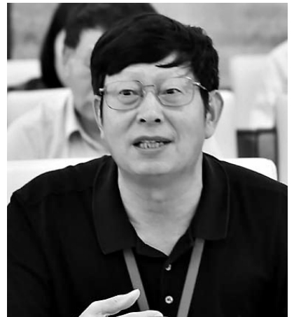 凌峰(全国人大代表,四川省军区原司令员)