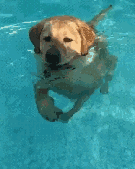 小编不会游泳,3日夜间到4日,全市有4-5级偏南转偏西风.