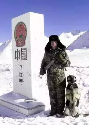 夜听| 所谓岁月静好,不过是有人替你负重前行