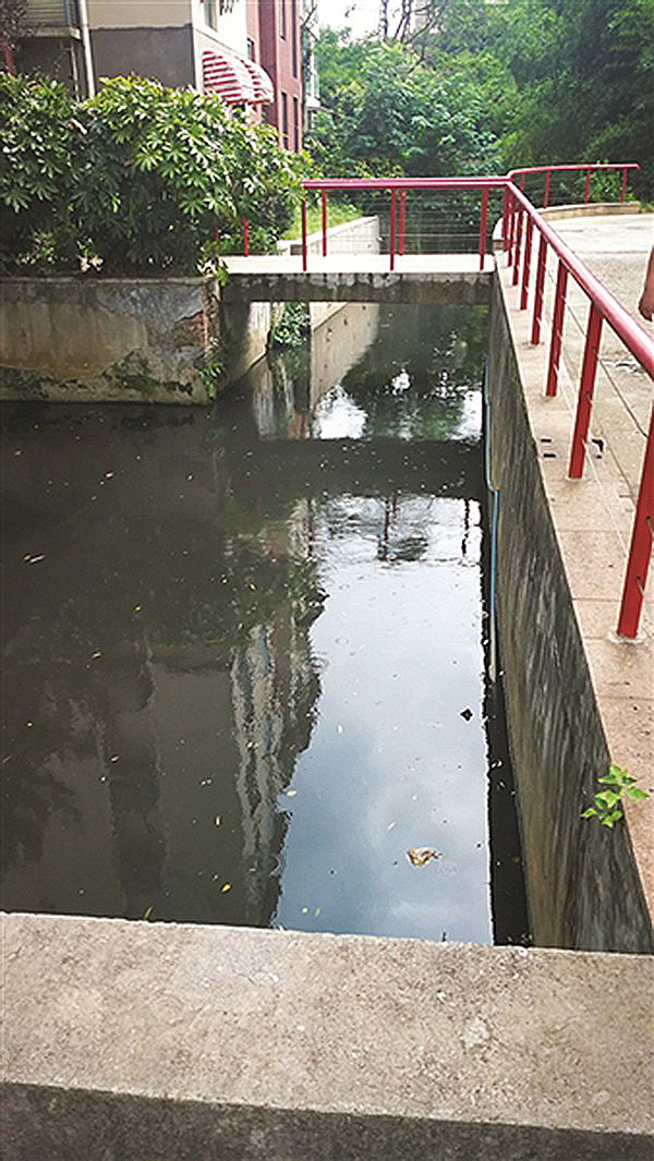 南京一小区景观河一夜变黑臭,居民疑有企业单位排污