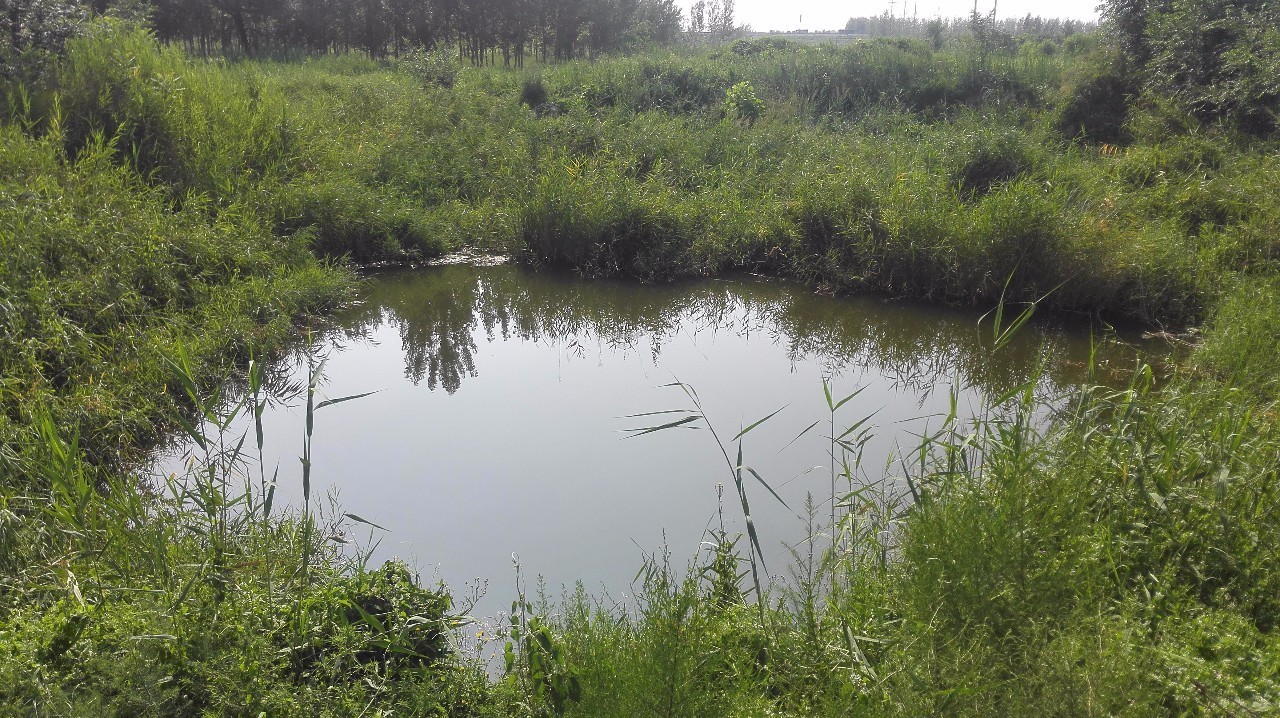 李文星被困室友:不把自己的腿打断 我就是下一个他 - 世界侨报 官网