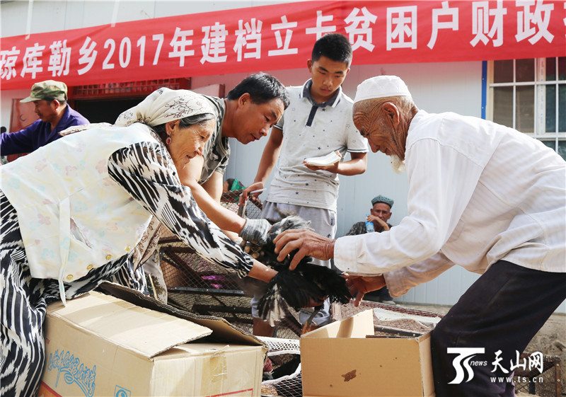 三十七团发放扶贫鸡助力且末县贫困村民增收