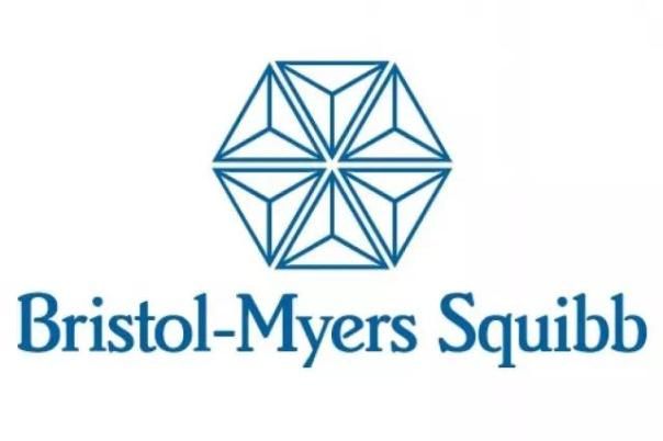 百时美施贵宝重磅免疫疗法opdivo获批