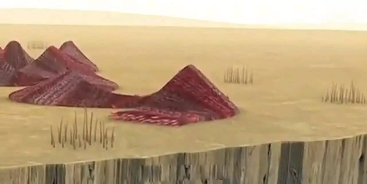 最后的编织:人性不舍放弃的弱点