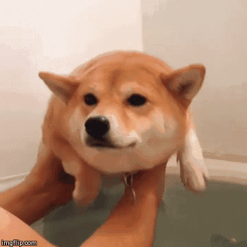 360_360gif 动态图 动图