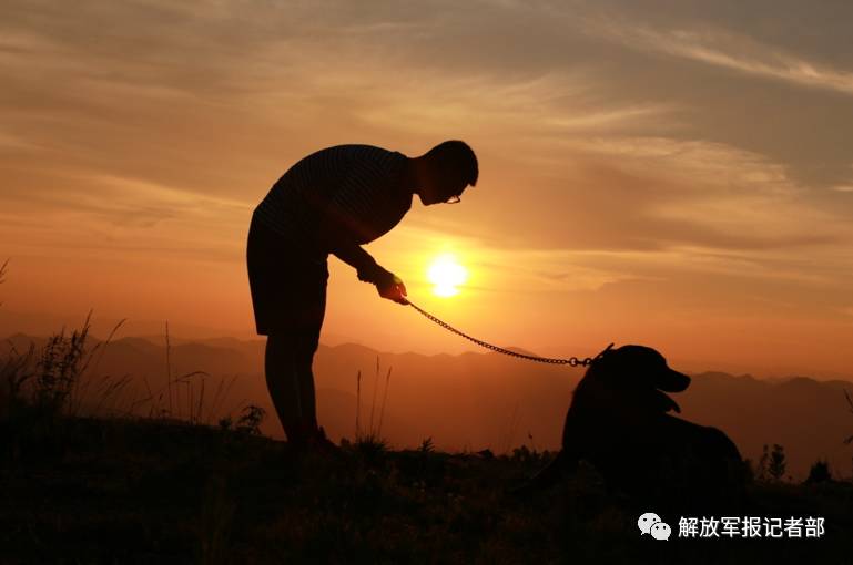 孤单不怕,还有汪星人陪伴一起看晚霞有兄弟,足够作者 | 徐林,洪宇飞