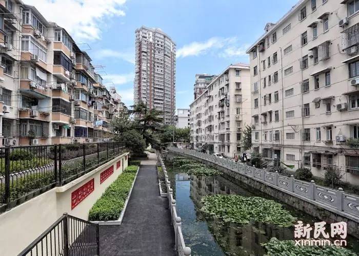 阅读上海100胜风华曹杨第一个工人新村散发城市温度