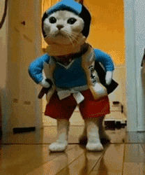 【问答】15万内外观漂亮、性价比不错，适合小白女生的车有哪些？