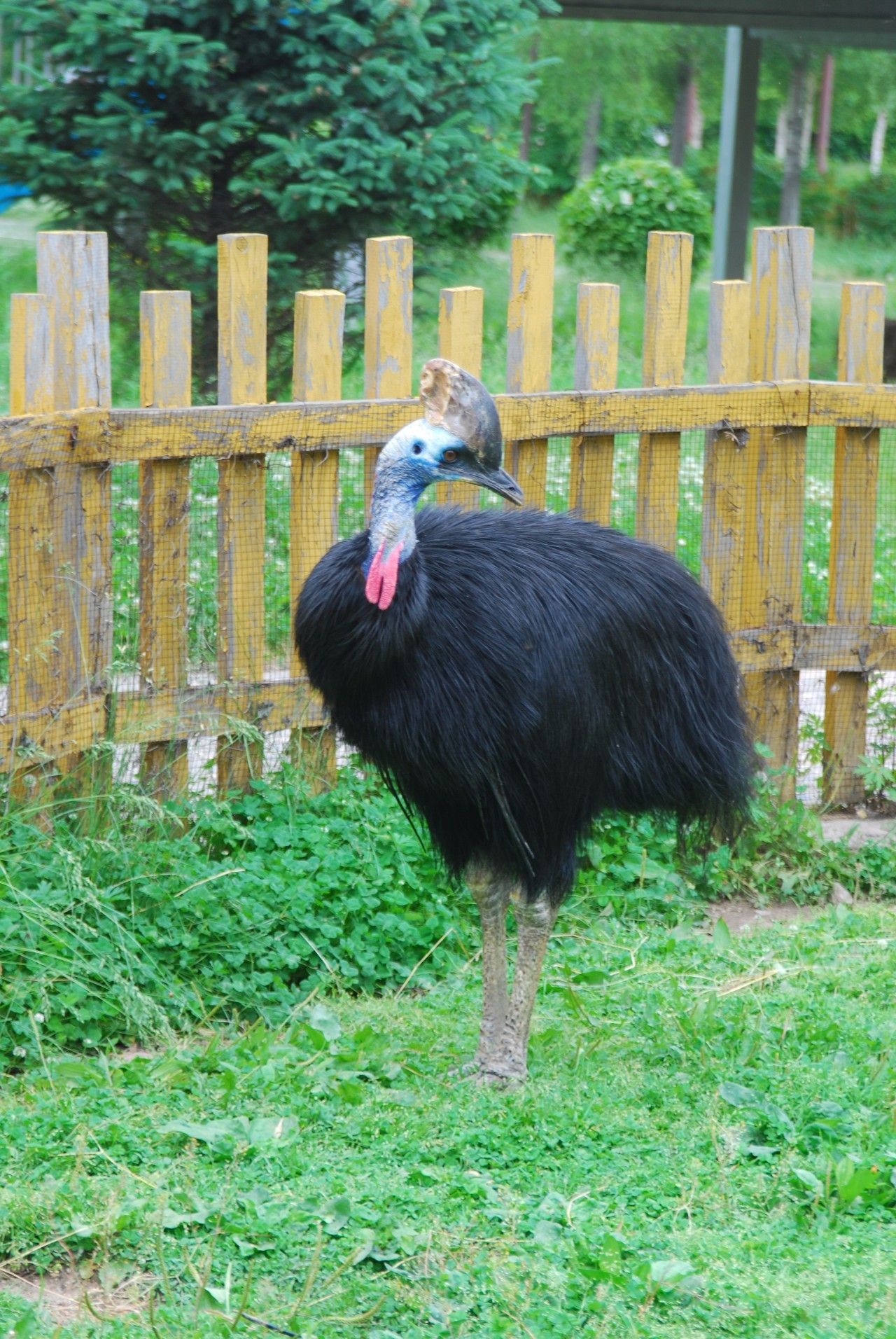 俺要娶媳妇俺也要脱单哈尔滨动物园8个光棍全国征婚