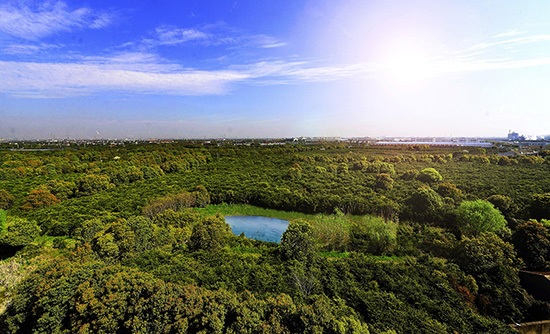 江苏105个农业特色小镇出炉红豆杉康养小镇领衔无锡小镇