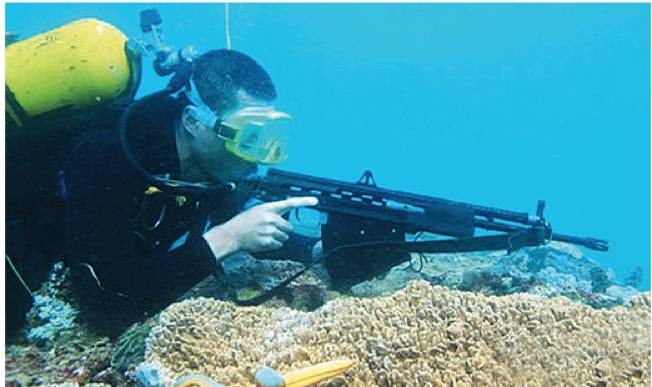 中国水下步枪图片