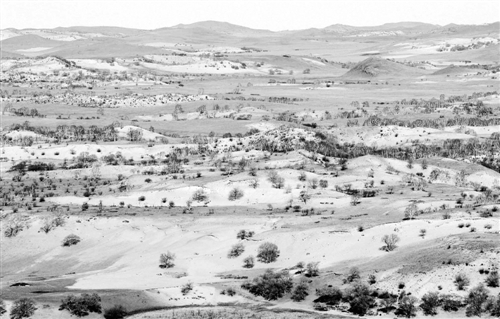 "绿色功勋"塞罕坝