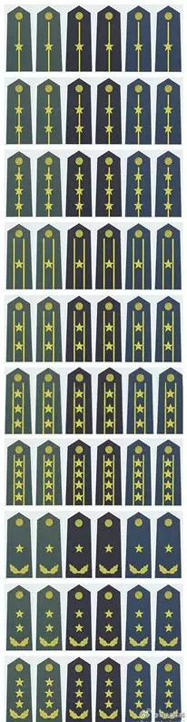07式陆海空军官常服肩章.