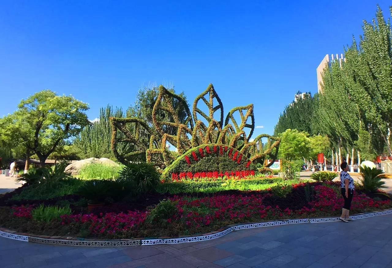 漂亮!30组立体花坛花雕亮相呼和浩特街头