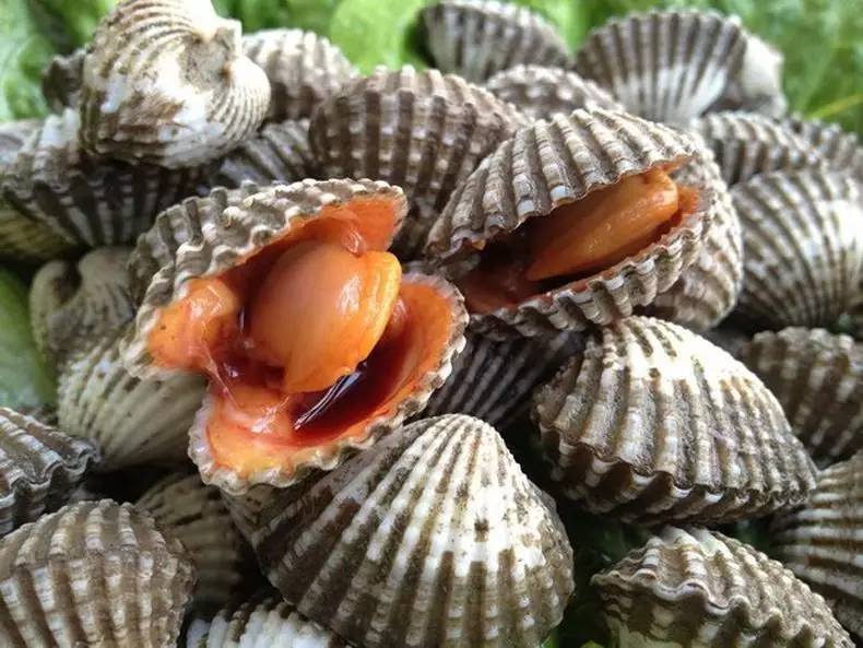 涨姿势宁波人知道黄鱼七兄弟是什么吗这些长得很像的