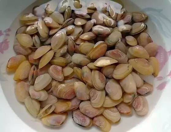 海瓜子是一种白色的小蛤蜊,大小形状如南瓜子,是一种在滨海滩涂生长的