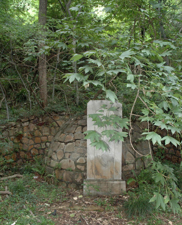 大学图书馆馆长李小缘先生的生前身后|图书馆|李小缘|曾昭燏_新浪新闻