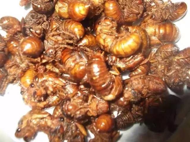 厦门一男孩吃了这东西,休克倒地紧急送医!