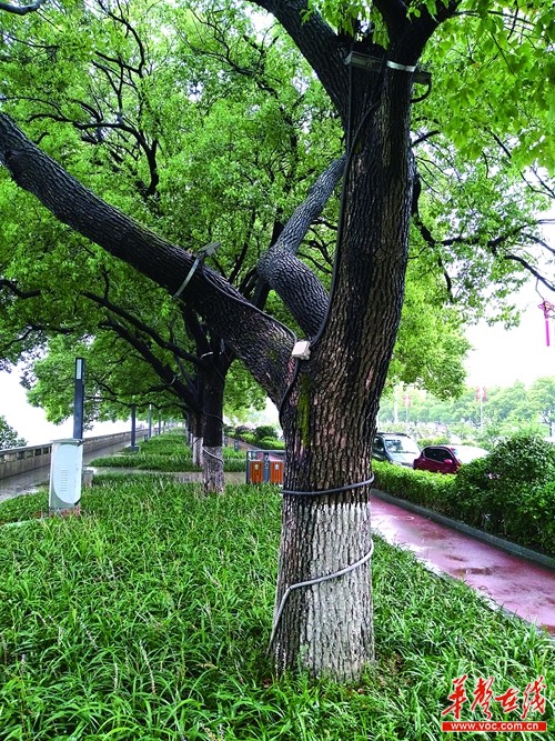 武进优质百度seo联系方式