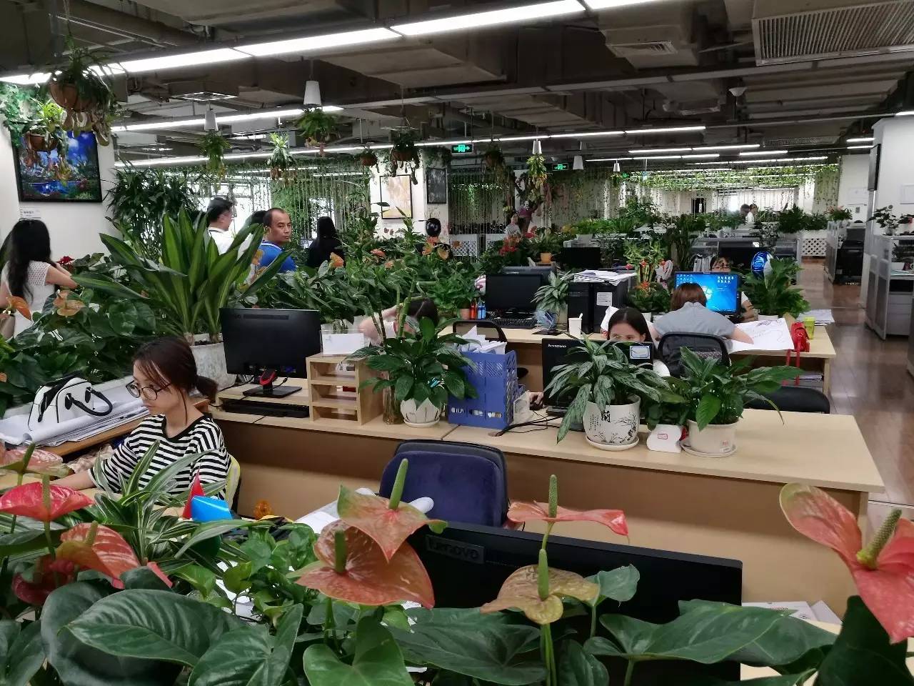 碧桂园曝光9000员工与会呼吸的办公大楼