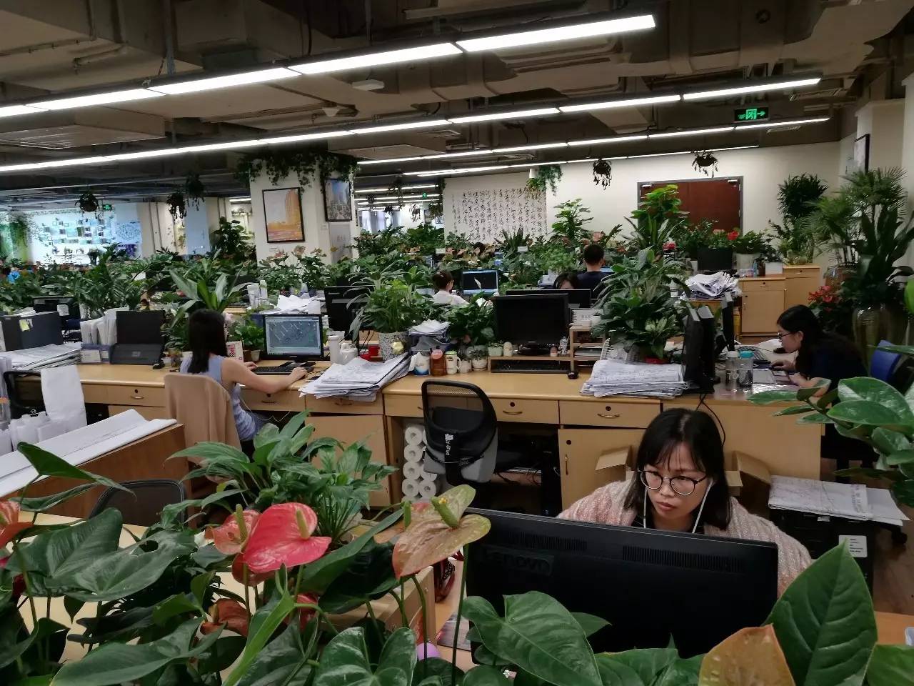 碧桂园曝光9000员工与会呼吸的办公大楼