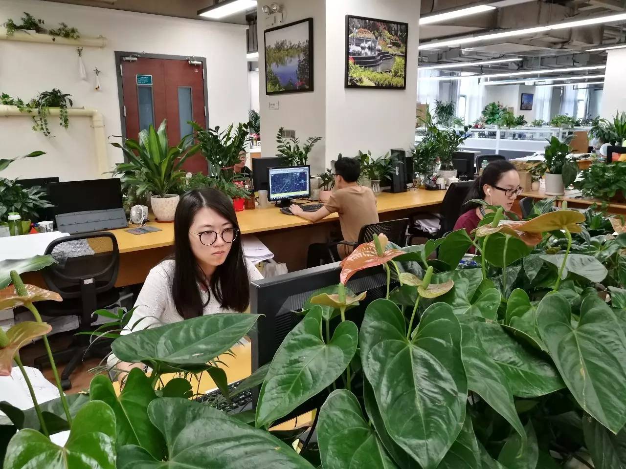 碧桂园"曝光":9000员工与"会呼吸"的办公大楼