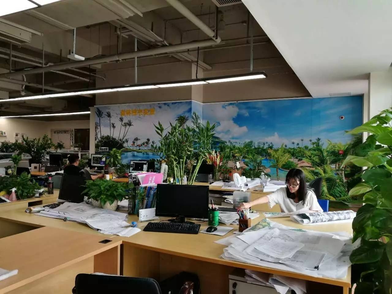 碧桂园"曝光":9000员工与"会呼吸"的办公大楼