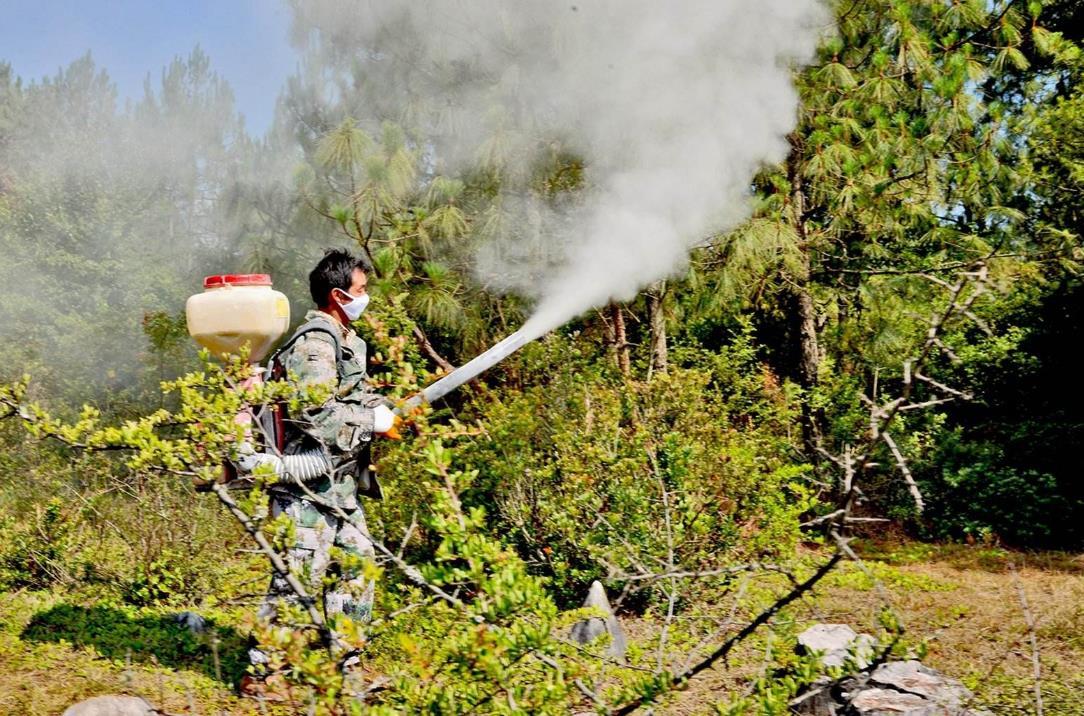国家林业局:下半年全国主要林业生物灾害将偏重发生 新发7000万亩左右