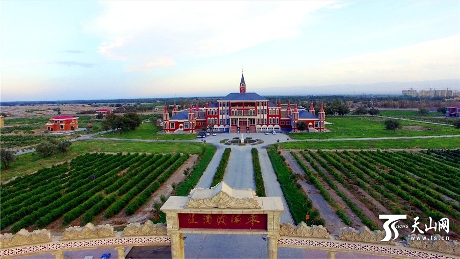 新疆托克逊县8月20日将举办酒庄葡萄酒品尝体验活动