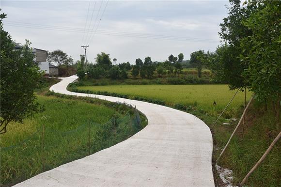 江津李市镇生产便道进农家提速农业现代化