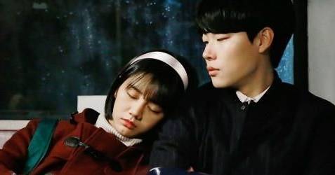 "狗善cp"终成眷属,我吃了这碗狗粮 | 沸话